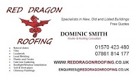 Red Dragon Roofing 241086 Image 0